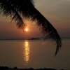 sam_6942_800x600