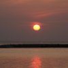 sam_6956_800x600